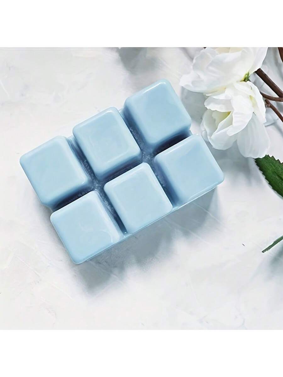 12/24개 직사각형 6구 투명 플라스틱 몰드 트레이  - Soap Making Websites 리뷰 및 가격
