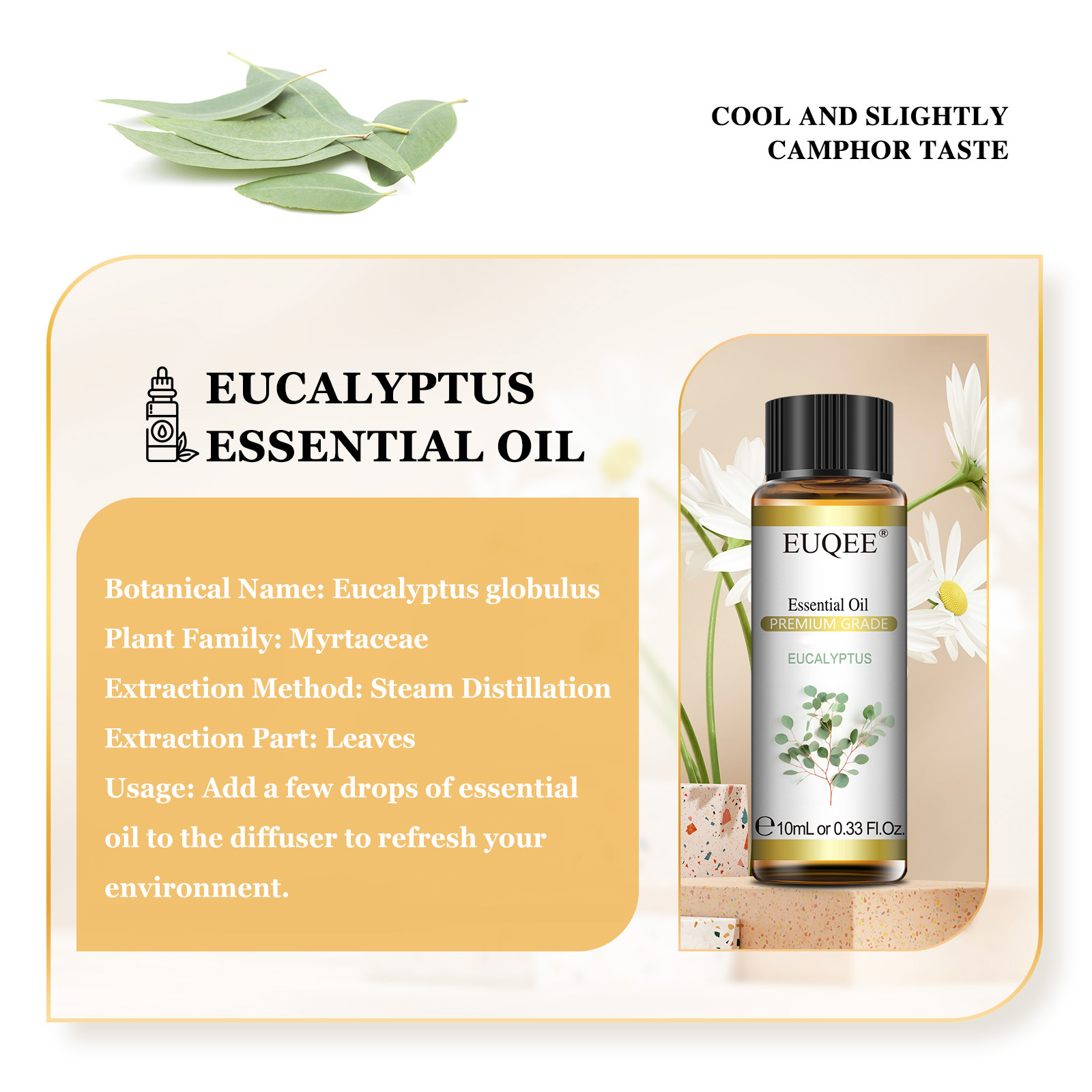 EUQEE 10ML 천연 에센셜 오일 유칼립투스 스피어 - Soap Making Oils 리뷰 및 가격